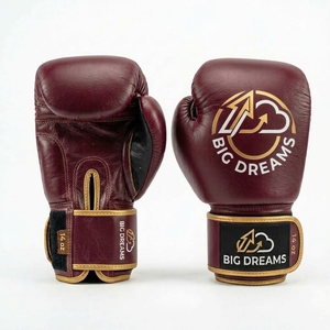 Gants de boxe en cuir Big Dreams 14 oz avec fermeture Velcro pour adultes - Product Image 4