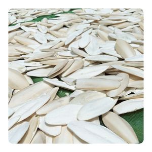 Hueso de Sepia Puro de Alta Calidad, Precio Mayorista Económico, Alto Contenido de Calcio, Hueso de Sepia Natural, Suministro a Granel de Fábrica Premium - Product Image 1