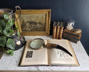 New Buffalo Horn Handle Eco-Friendly Handmade <b>Magnifying</b> Glass for Precision Reading and Classic Vintage Style High Quality - Product Image 2