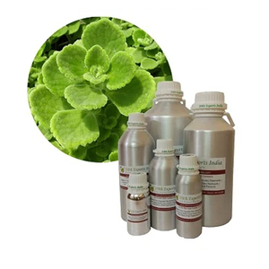 Thyme <b>Essential</b> <b>Oil</b> 100% Pure Steam Distilled Bulk for Cosmetic Formulations and Personal Care Products - Product Image 1