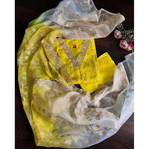 เสื้อผ้าหรูหราสำหรับงานปาร์ตี้สไตล์อินเดียและปากีสถาน - Product Image 1