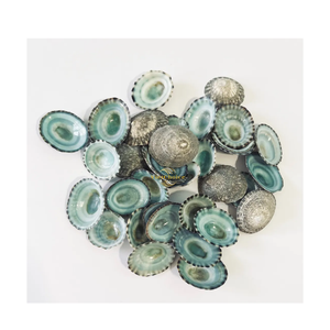 Concha de Limpet Verde Natural Ecológica para Acuarios, Manualidades, Joyería y Decoración del Hogar con Temática Costera - Product Image 2
