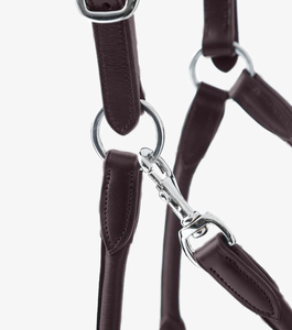 Premium Quality Genuine Leather Horse Equipment Custom Logo Rolled Anatomic Leather Head Collar Halter Adjustable <b>Equestrian</b> - Product Image 2