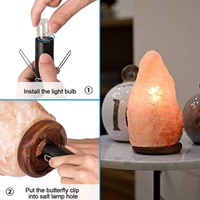 Lampe en sel de l'Himalaya de qualité supérieure, technique de sculpture artisanale, couleur personnalisée, toutes formes et tailles, décoration d'intérieur