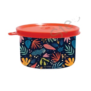 Boîte à tifin en acier inoxydable avec conteneurs 2 pièces Articles réutilisables Verrouiller et déverrouiller avec couvercle en plastique cercle Tiffin Box 2 pcs Set - Product Image 1