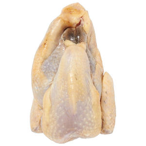 Poulet de Guinée Congelé de Haute Qualité à Prix Abordable, Prêt à l'Exportation, Viande de Poulet de Guinée en Gros - Product Image 3