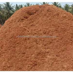 2026 Premium Coconut <b>Shell</b> Powder High Purity Export Quality Bulk Supply Competitive Price Vietnam for Chemical Industry - Product Image 2