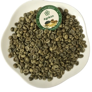 Vietnam Robusta Green Coffee Beans - Robusta Coffee Bean Honey Processing Export Quality + 84 865216698 - Product Image 2