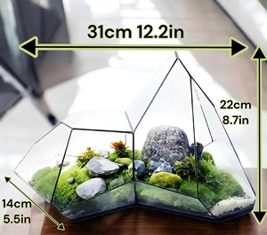 Terrario Geométrico de Vidrio con Musgo y Suculentas, Decoración de Mesa para Interiores, Hogar, Oficina y Espacios Modernos, de la India - Product Image 3