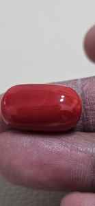 พลอยปะการังแดงอิตาลีทรงรีคุณภาพดีสำหรับทำเครื่องประดับพลอยแบบหลวมๆ ทำต่างหูจี้ - Product Image 2