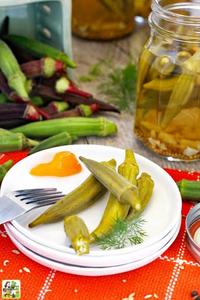 OEM FACTORY Canned Okra 14.5 Oz Pull Ring Tin Can for Private Label Supermarket - Product Image 3