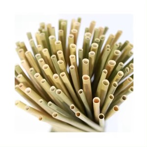 Paille à boire en gazon naturel de haute qualité écologique et à prix économique pour les fêtes - Product Image 5