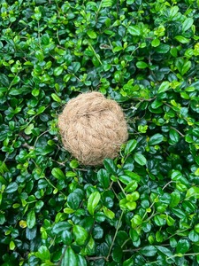 Pelota de fibra de coco para masticar para perros, pelota de cáscara de coco para masticar para perros, fabricante de juguetes ecológicos para mascotas de Vietnam ANGLE - Product Image 6