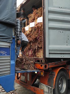 เชือกผักตบชวาถักแบบธรรมชาติจากเวียดนาม ราคาดีที่สุด ปี 2026 สำหรับงานฝีมือ ผลิตภัณฑ์ทอ และอุปกรณ์ตกแต่งภายใน - Product Image 4