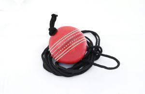 Willow Cricket Hanging <b>Ball</b> for <b>Bat</b> Knocking and Practice, 1 Hard <b>Ball</b> BY NAQQASH SPORTS - Product Image 4