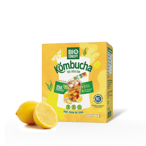 Venta Directa de Fábrica, Té Kombucha de Limón y Jengibre, Polvo de Té Refrescante, Paquete Pequeño de 10g, Kombucha de Jengibre - Product Image 1