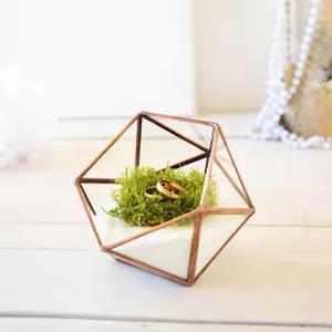 Terrarium en verre avec accents métalliques de luxe, porte-plantes géométrique élégant, décoration d'intérieur - Product Image 4