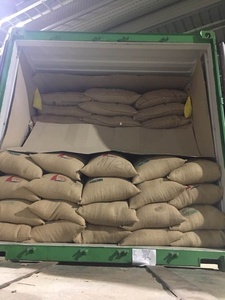 HANCOFFEE Cosecha 2025-2026, Granos de Café Robusta Verdes de Vietnam - Precio de Mayoreo Más Bajo - Empaquetado en Bolsas de 60 kg/PP/Yute - Product Image 6