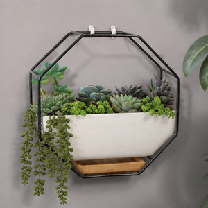 Maceta hexagonal moderna de metal para pared, maceta blanca de cerámica para suculentas, decoración minimalista para colgar en interiores y exteriores. - Product Image 3