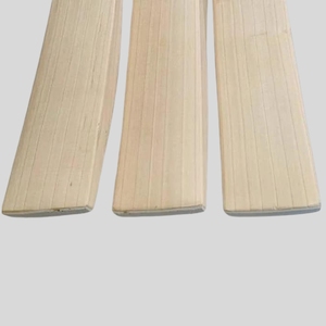 Batte de cricket en saule anglais de haute qualité, logo personnalisé, légère et durable pour balles en cuir - Product Image 4