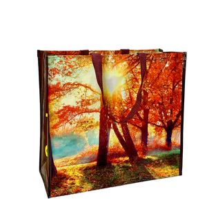Wholesale OEM/ODM <b>Reusable</b> PP Woven Shopping <b>Bag</b> with Your Own Logo Dot Pattern Handled Zipper Closure Vietnam Manufacture - Product Image 2