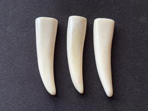 Colgantes de Hueso Natural Tallados a Mano, Amuletos de Cuerno de Búfalo para Fabricación de Joyas, Componentes de Collar Tribal Boho al por Mayor - Product Image 4