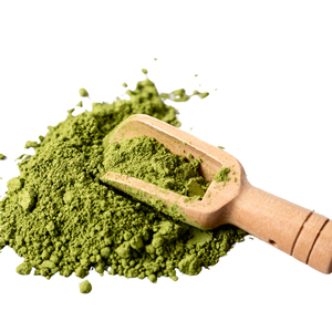 Proveedor indio de polvo de moringa seca para formulaciones y remedios herbarios ayurvédicos. Suministro disponible a nivel mundial. - Product Image 5