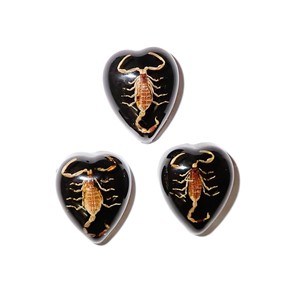 Golden Scorpion Real Specimen Plastic Cabochon <b>Heart</b> 17x21 mm <b>Black</b> Flat Bottom for Crafts and Jewelry Making - Product Image 4
