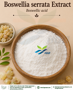 Approvisionnement direct de l'usine HGO en extrait naturel pur de Boswellia serrata (qualité alimentaire) acide boswellique 45%-95% (extrait standardisé) - Product Image 1