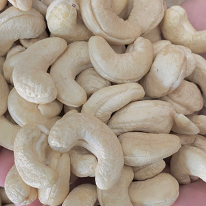 Trusted Factory Cashew W320 Cashew <b>Nuts</b> Vietnam Cashews <b>Nut</b> Customized Packing Free Santigo - Product Image 1