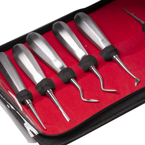 Precio Económico: 10 Elevadores Dentales Manuales Curvos para Extracción de Raíces, Fórceps para Extracción Dental, Instrumentos de Cirugía Oral e Implantes - Product Image 2