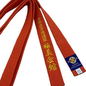 Ceintures de classement colorées en coton pour Taekwondo, Arts martiaux, Judo, Karaté, TKD, Aikido, pour enfants et adultes, 1 pièce - Product Image 1