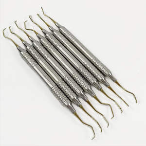 Herramienta Dental Mayorista de Alta Gama: Scaler y Explorer de un Solo Extremo, Acero Inoxidable Premium, Material Quirúrgico de Alta Calidad - Product Image 1