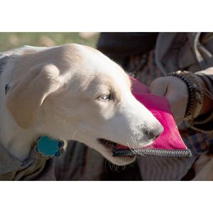 Juguete para Perros de Neopreno Resistente a Mordidas Active Life Extreme, Flotante, para Jugar a Arrastrar y Tirar, para Eliminar Desechos de Mascotas - Product Image 6