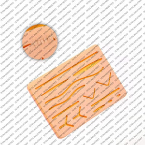 Kit de Sutura Quirúrgica Básico Profesional, Kit de Práctica de Sutura Médica, Kit de Práctica de Sutura de Acero Inoxidable Alemán - Product Image 6