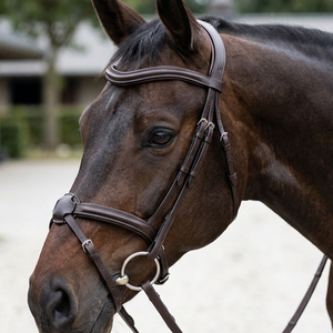 Brida Anatómica Premium para Caballo con Narquilero en Forma de 8 - Brida de Cuero Acolchada para Salto y Doma Clásica - Product Image 4