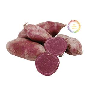 Puré de Camote Morado Congelado de Bajo Costo para el Mercado de Bebidas de Corea, Venta Directa de Fábrica, Suministro al por Mayor - Product Image 3