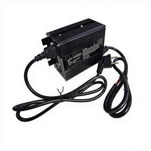 공장 가격 OEM 맞춤형 300W 지게차 충전기 24v 배터리 충전기 기계식 진공 리프터용 - Product Image 3