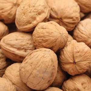Nueces Enteras de Primera Calidad, 100% Naturales con Cáscara al Mejor Precio, Ricas en Nutrientes, Frescas, Orgánicas y Crudas - Product Image 1