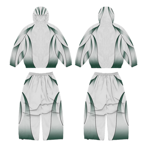 Hochwertiger Artikel Unisex Hip-Hop Colorblock Trainingsanzug mit Kapuzenjacke und Hose, leichtes, locker sitzendes Sportbekleidungsset - Product Image 2