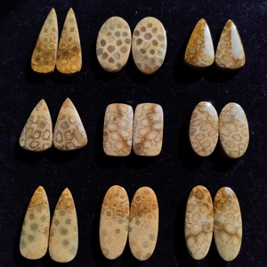 Offre Spéciale : Paire de Coraux Fossiles en Gros, Paire Assortie de Coraux Fossiles, Paire de Cabochons de Coraux Fossiles en Pierre Précieuse pour la Fabrication de Bijoux - Product Image 3