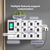 Fabricante Chino de Casilleros de Almacenamiento Inteligentes con Carga para Celulares, con Reconocimiento Facial y de Huellas Dactilares, Multi-Puerta, para Seguridad y Conservación