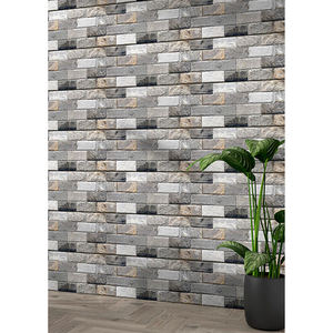 Azulejos de Porcelana de Primera Calidad para Paredes y Pisos Exteriores de 300x600 mm con Superficie de Alta Profundidad para un Diseño Moderno - Product Image 1