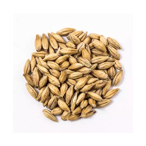 Cereales de Cebada de Alta Calidad, Limpios y Procesados, para Nutrición Ganadera y Fabricación de Alimentos, Fabricación ODM - Product Image 2