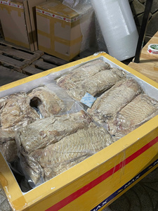 Pulpo Seco Enrollado, el Más Vendido, Pescado Sostenible, Sabor Intenso, Alto Valor Nutricional, Listo para Comer, Caja de Cartón de 10 kg, Lavado a Máquina - Product Image 5