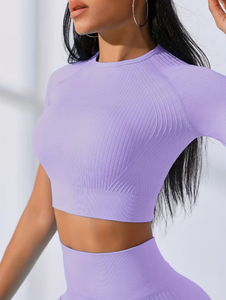 Lavender Ribbed Yoga Set High Waist Full Length <b>Leggings</b> With Short Sleeve <b>Crop</b> Top Seamless Four-Way Stretch Two Piece - Product Image 2