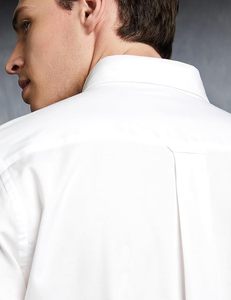 Camisa Casual Elegante para Hombre, Lisa, Fresca, con Botones, Corte Regular, Manga Larga, Algodón, Semi Formal - Product Image 4