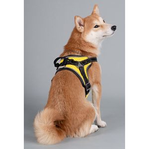 Arnés Deportivo de Alto Rendimiento Scorpion para Perros de Raza Libre, Arneses Premium para Mascotas - Product Image 3