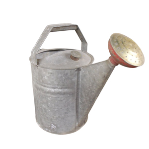 Arrosoir en acier galvanisé avec bec amovible pour plantes de jardin intérieures et extérieures, décoration intérieure, finition vert crème - Product Image 4