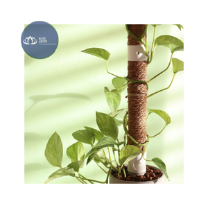 Poste de Fibra de Coco Sostenible de Alta Calidad – Poste Extensible de Fibra de Coco Ecológico al por Mayor - Product Image 1
